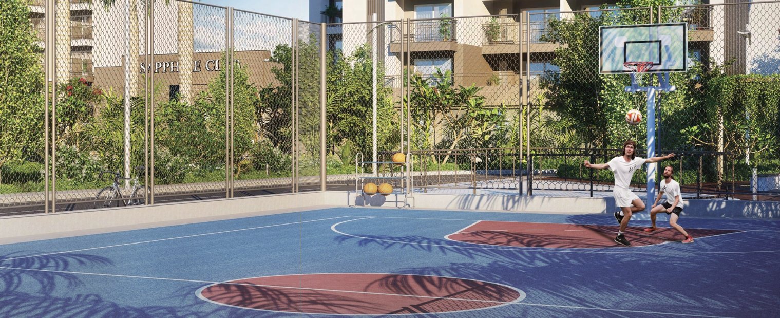 sobti flat basketball